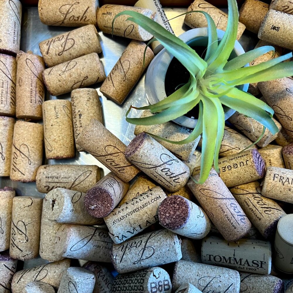 Wine Cork Collection - Picture 2 of 15